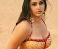 Namitha's love happens in car and bar. - 1256478500_nam2