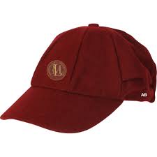 Image result for Minster Lovell Cricket Club