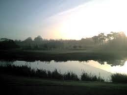 Image result for Cookridge Hall Golf Club