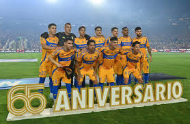 Image result for Universal Martial Arts (Chelmarsh with Neil Morris)