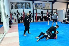 Image result for Precision MMA Mixed Martial Arts Training