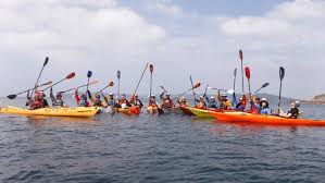Image result for Port Of Plymouth Canoeing Association