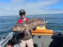 Image result for Ophiodon elongatus