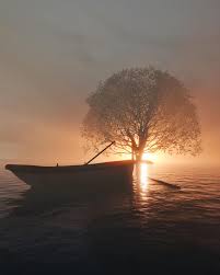 Image result for blender wallpaper