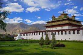 Image result for 뺾