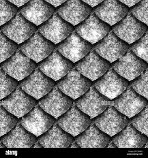 Image result for reptile scales