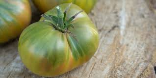 Afbeeldingsresultaat voor grubbs mystery green tomato