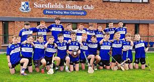 Image result for Sarsfields Hurling Club