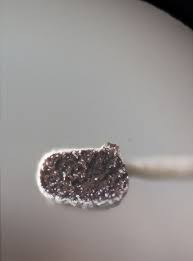 Attēlu rezultāti vaicājumam “Physarum luteolum spores”