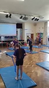 Image result for South Essex Gymnastics Club
