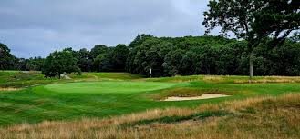 Image result for Plymouth Swallows Gc