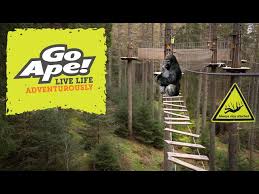 Image result for The Go Ape Experience (Delamere Forest)
