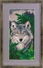 images?q=tbn:ANd9GcRsYxnbBAaM1TeEu6akctZK1HhBZXiZfKyjTF4TIsS_PG2LfUon