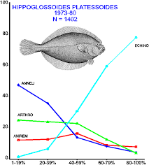 Image result for Hippoglossoides platessoides