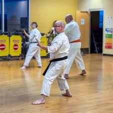 Image result for America's Best Karate Chandler