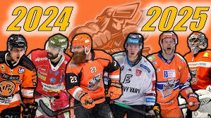 Image result for Sheffield Steelers