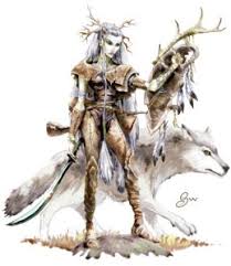 Image result for druid