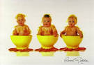 Anne Geddes