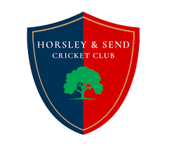 Image result for Horley Cricket Club