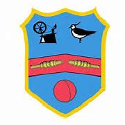 Image result for Holmfirth Cc