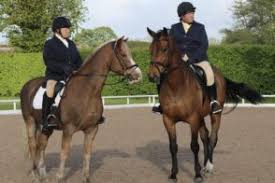Image result for Weybridge Equestrian Centre