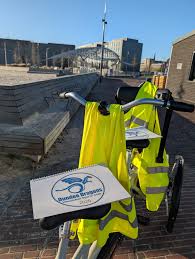 Image result for Dundee Dragons