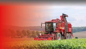 Image result for holmac tehron