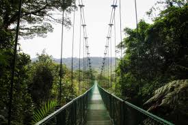 Image result for perspective photography