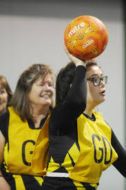 Image result for Wyvern Ladies Netball Club
