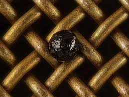 Attēlu rezultāti vaicājumam “Diderma tigrinum”