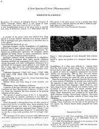 Attēlu rezultāti vaicājumam “Licea minima”