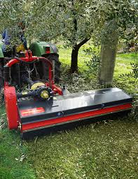 Image result for seppi tehron