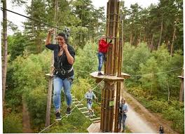 Image result for Go Ape! Leeds Castle