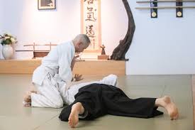 Image result for Durham City Aikikai