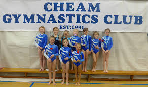 Image result for Weaverham Gymnastics Club