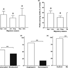 Attēlu rezultāti vaicājumam “Hadula trifolii larva”