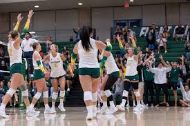 Image result for Concordia Netball Club