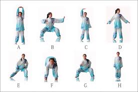 Image result for WUQI KUNG FU AND HEALTH SOCIETY