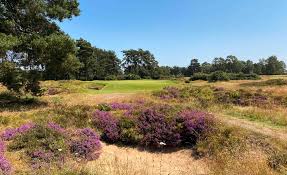 Image result for Woodhall Hills Golf Club Limited