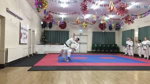 Image result for Haxby karate club