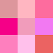 Image result for FOTO ROSA