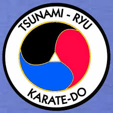 Image result for Tsunami Karate Club