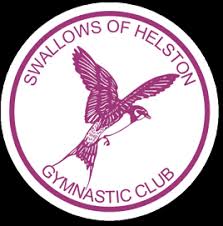 Image result for Swallows Trampoline Club