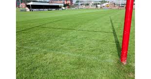 Image result for Hornsea Rufc