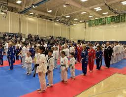 Image result for Parkgate Taekwondo Club