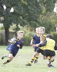 Image result for Farnborough Rfc Minis & Juniors