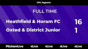 Image result for Oxted & District Junior Fc