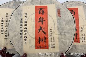 Image result for 2003早春