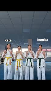 Image result for Kyokushinkai Karate Bradford