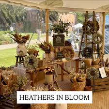 Image result for Amaranth Cricket Club